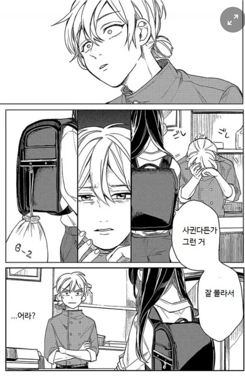 manga_2457197_003.webp