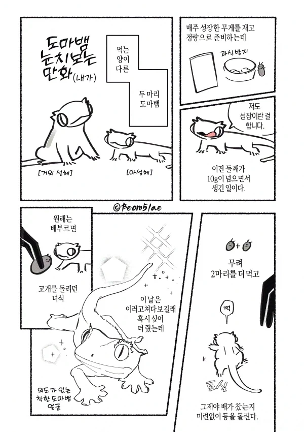 manga_76697148_d9ea_001.webp