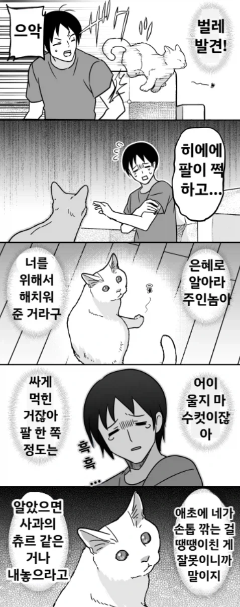 manga_76702615_ed1a_001.webp