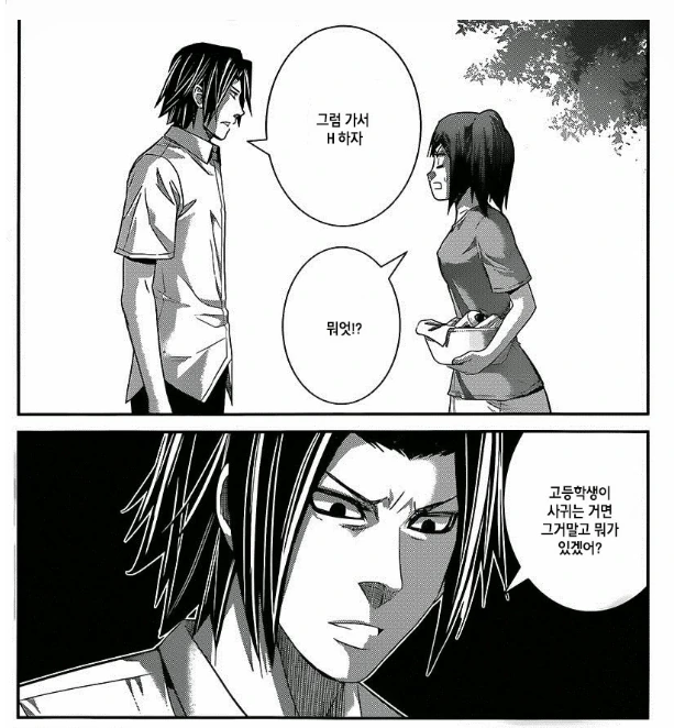 manga_76706491_5b2a_003.webp
