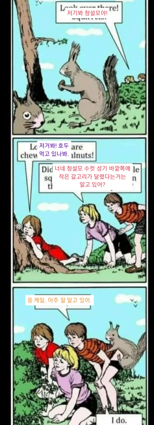 manga_882623_001.webp