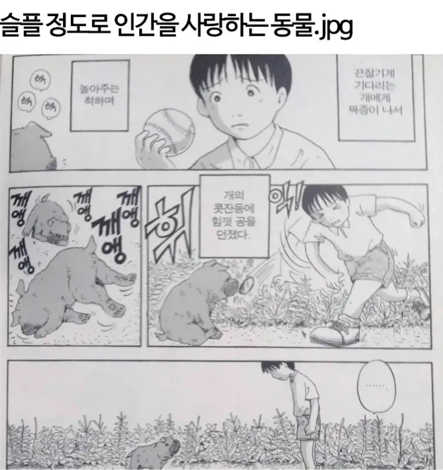 슬플 정도로 인간을 사랑하는 동물_1.webp