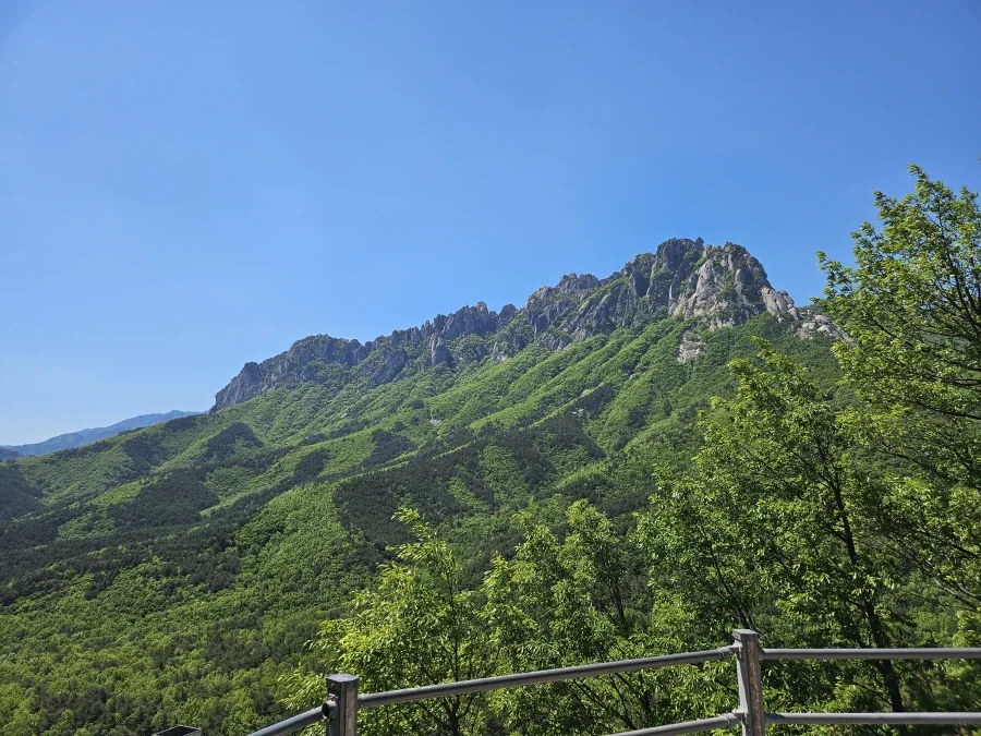 국도타고 속초가면 생기는 일.jpg_9.webp