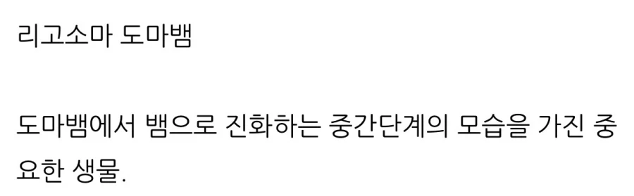 하찮은 다리를 가진 “도마뱀”.jpg_6.webp