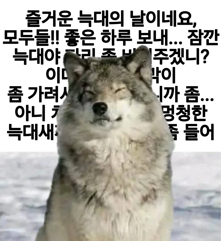 즐거운 늑대의 날이에요!_1.webp