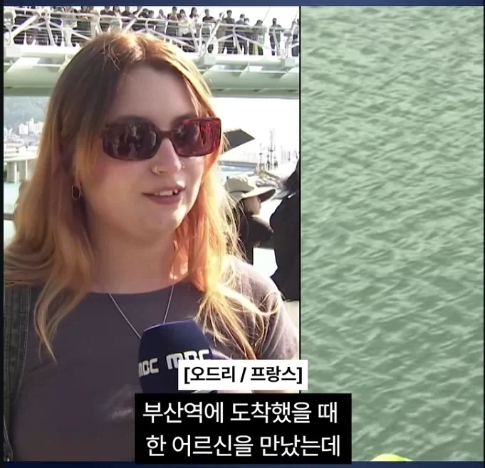 부산 상어 이게 제일 웃김 ㅋㅋㅋㅋㅋ_1.webp