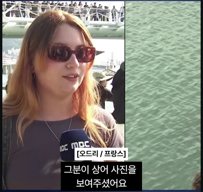 부산 상어 이게 제일 웃김 ㅋㅋㅋㅋㅋ_2.webp