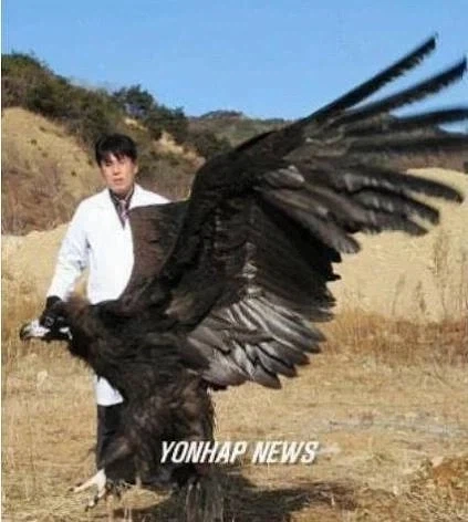 한반도 생태계가 극한이었다는 증거_1.webp