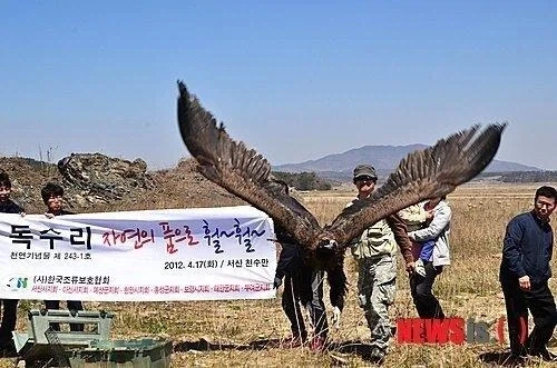 한반도 생태계가 극한이었다는 증거_2.webp