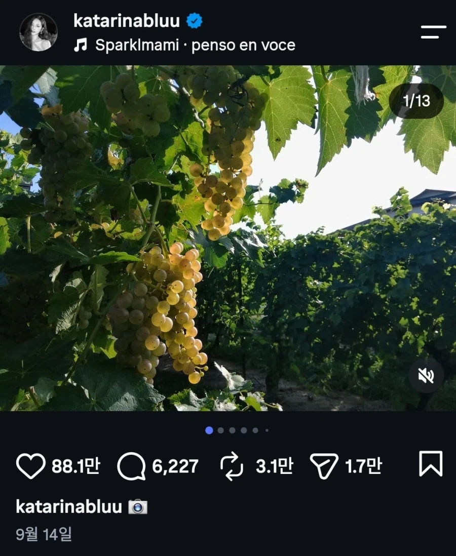 감성 차이 있다는 장원영과 카리나_6.webp