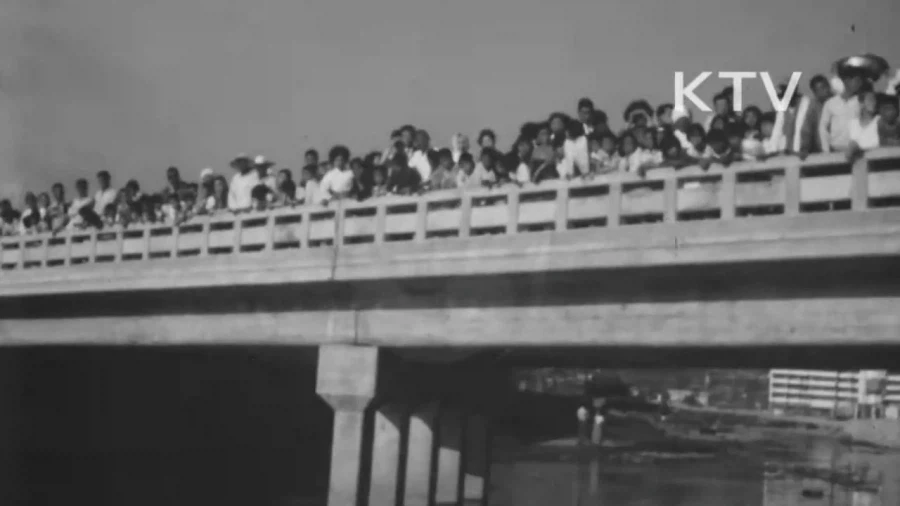 1964년 부산 해운대구에 나타난 거북이_2.webp