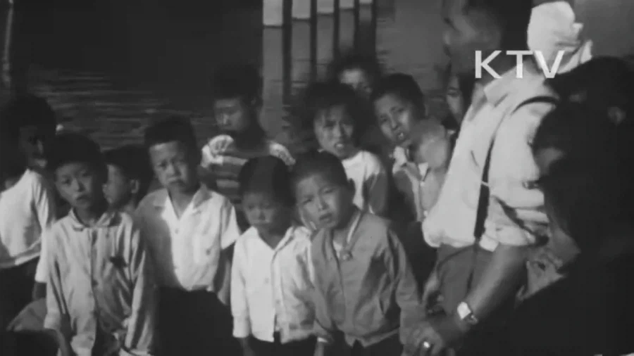1964년 부산 해운대구에 나타난 거북이_3.webp