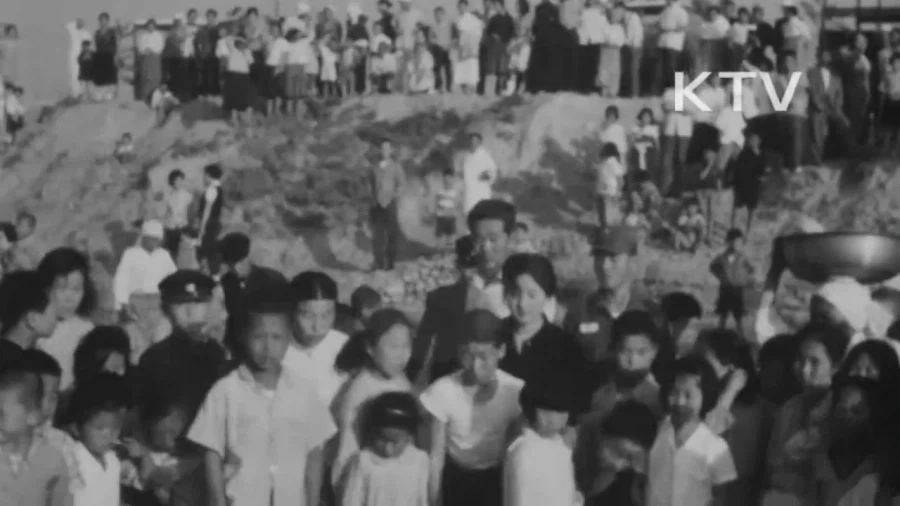 1964년 부산 해운대구에 나타난 거북이_11.webp