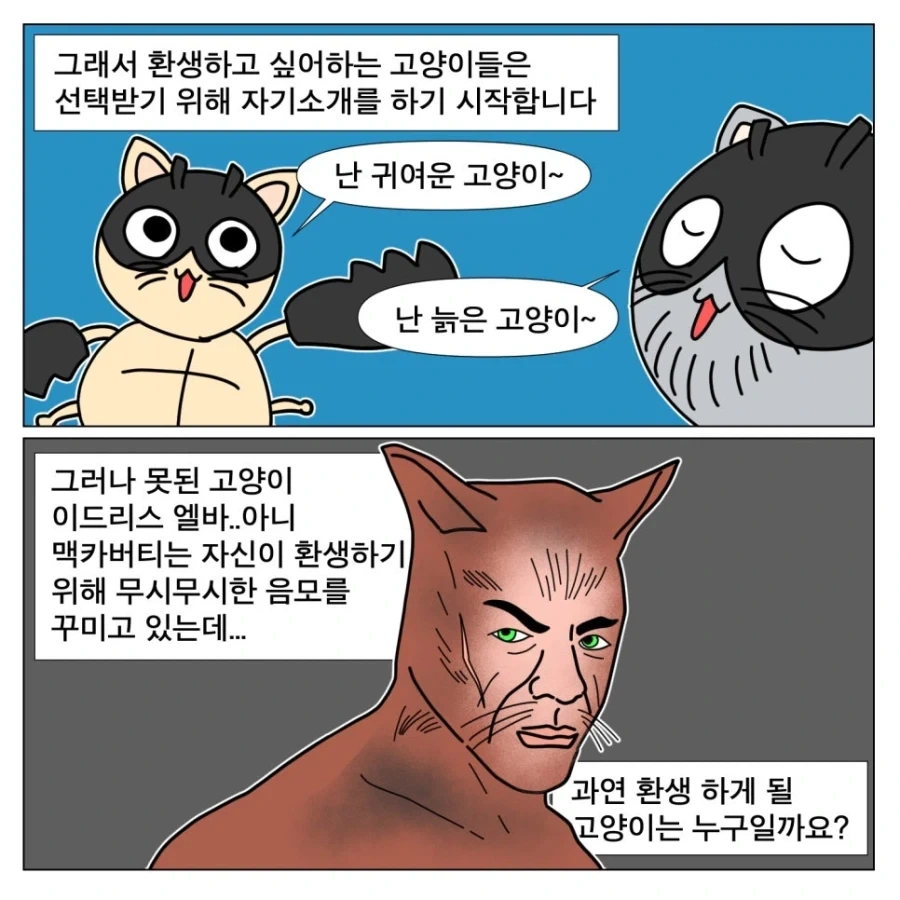 영화 안목이 의심되는 작가_7.webp