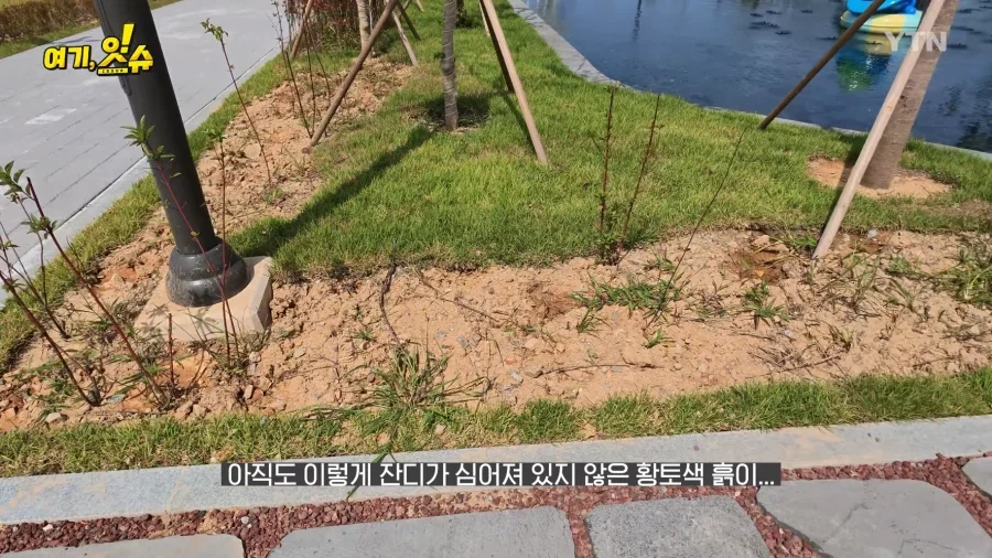 여수세계섬박람회 취재 간 YTN 기자 특징.JPG_1.webp