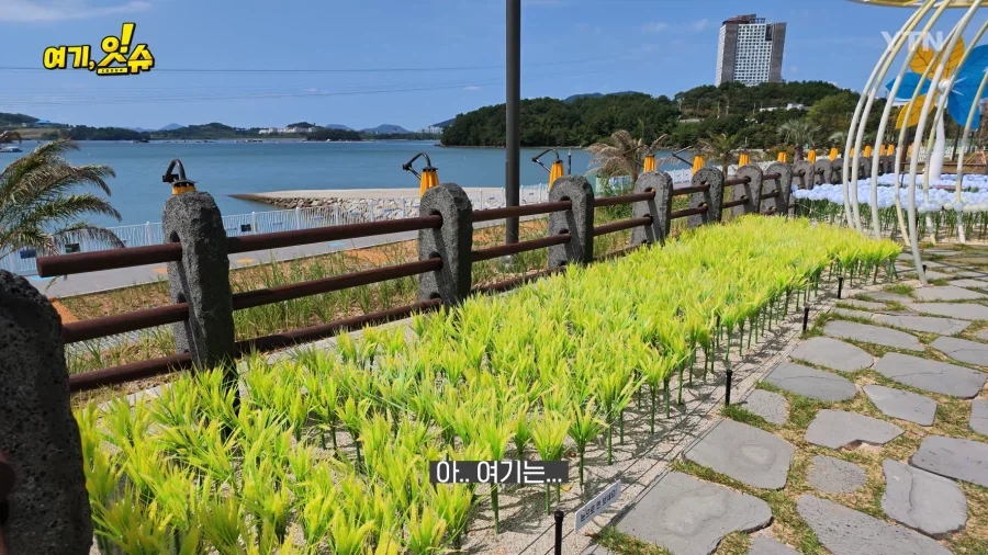 여수세계섬박람회 취재 간 YTN 기자 특징.JPG_2.webp
