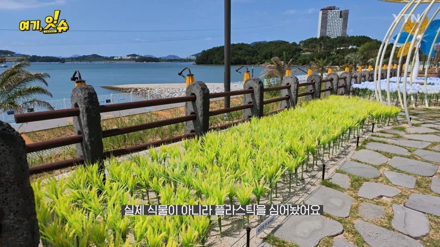 여수세계섬박람회 취재 간 YTN 기자 특징.JPG_3.webp