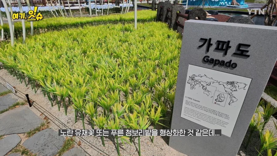 여수세계섬박람회 취재 간 YTN 기자 특징.JPG_4.webp