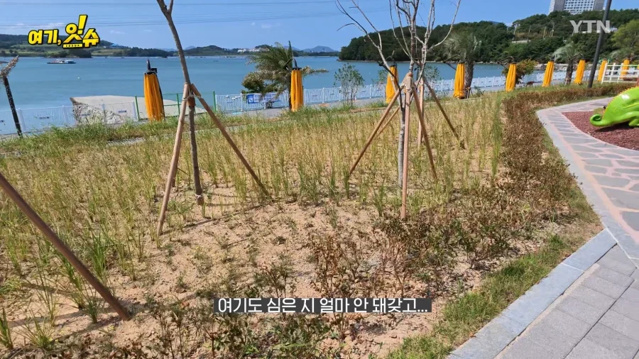 여수세계섬박람회 취재 간 YTN 기자 특징.JPG_5.webp