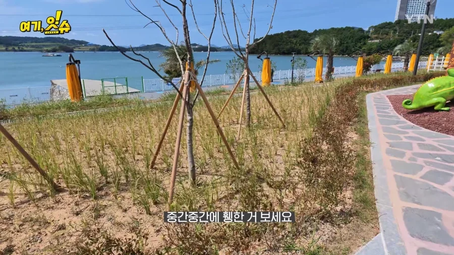 여수세계섬박람회 취재 간 YTN 기자 특징.JPG_6.webp