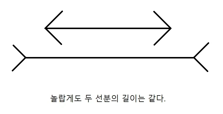 신기한 착시현상 모음.jpg_1.webp