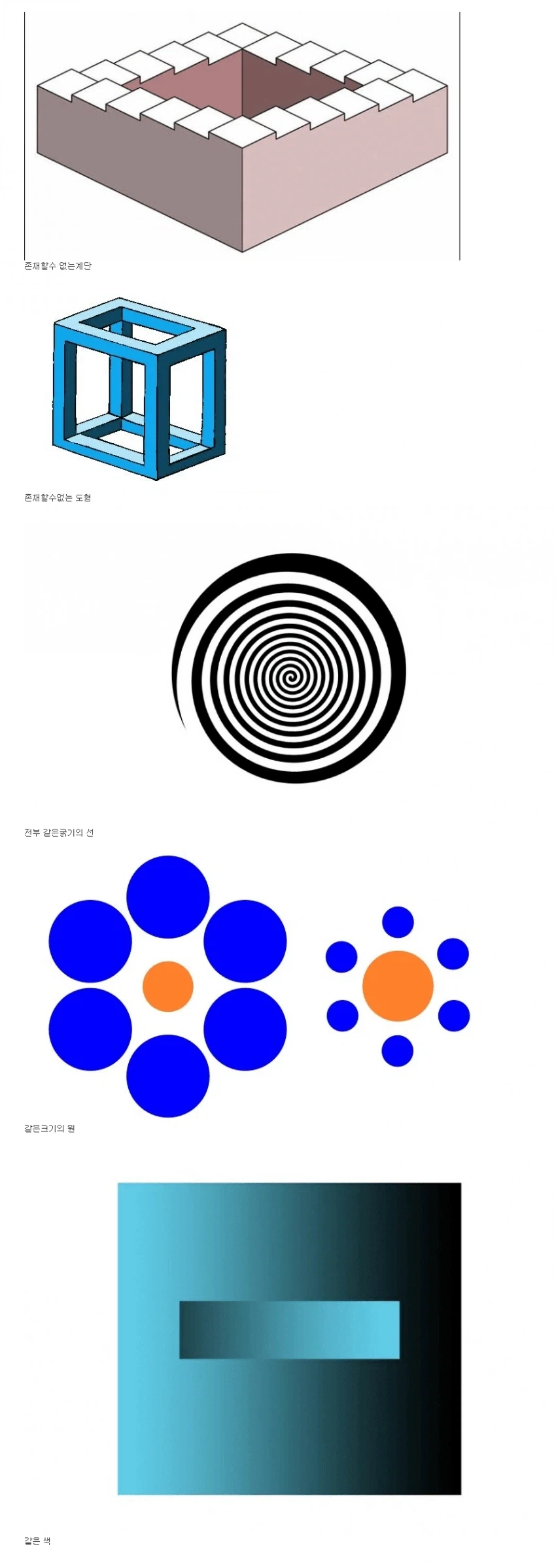 신기한 착시현상 모음.jpg_2.webp