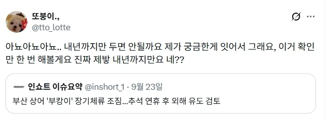 부산 북항 상어 추석 끝나고 외해 유도 검토.jpg_1.webp