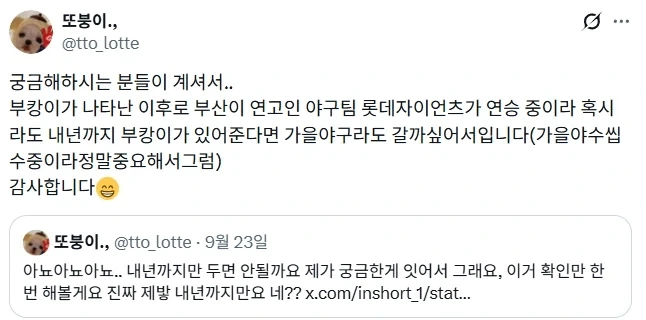 부산 북항 상어 추석 끝나고 외해 유도 검토.jpg_2.webp