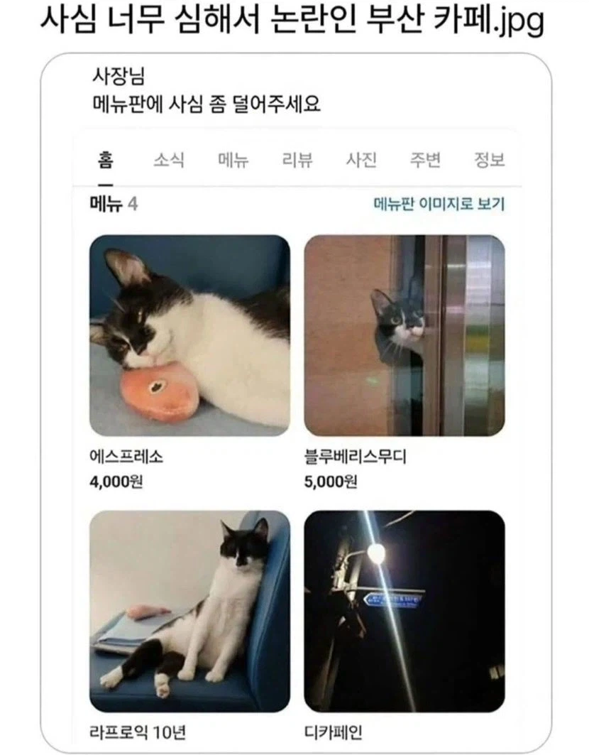사심이 너무 심한 부산 카페_1.webp