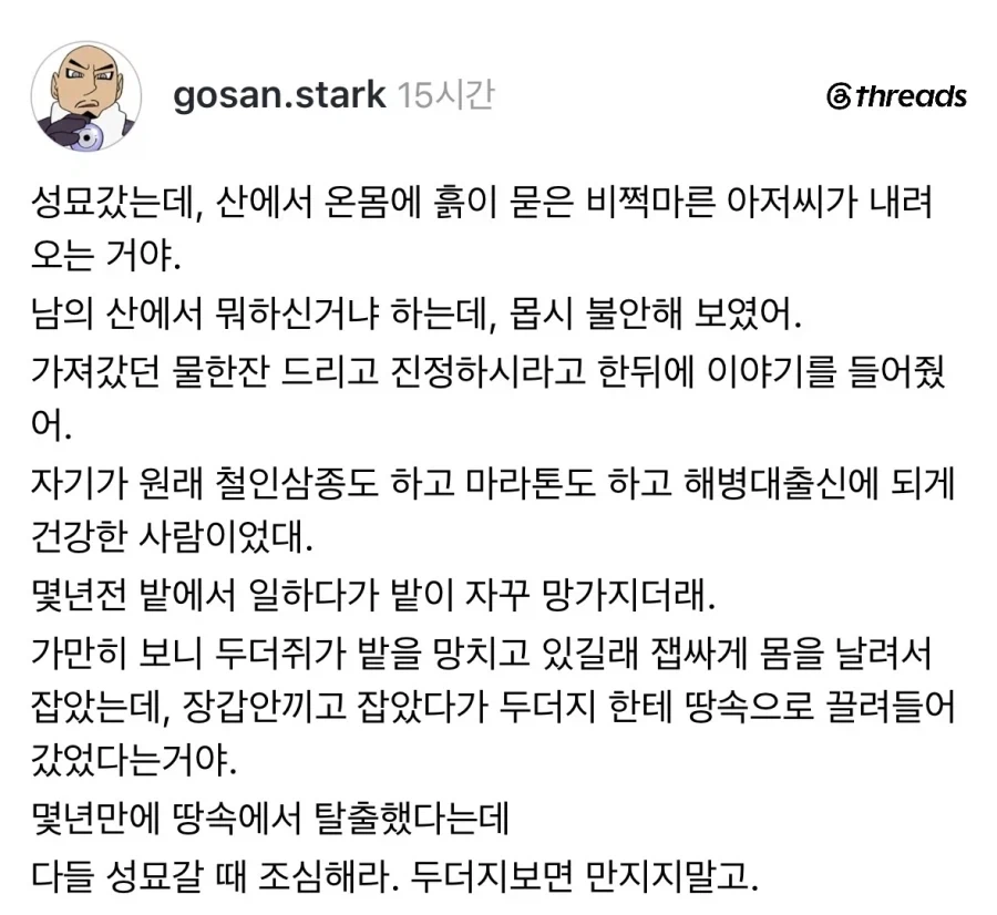 성묘갔다가 본 수상한 사람.jpg_1.webp