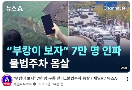 추석 첫날 7만명을 끌어모은 부산 상어.jpg_1.webp