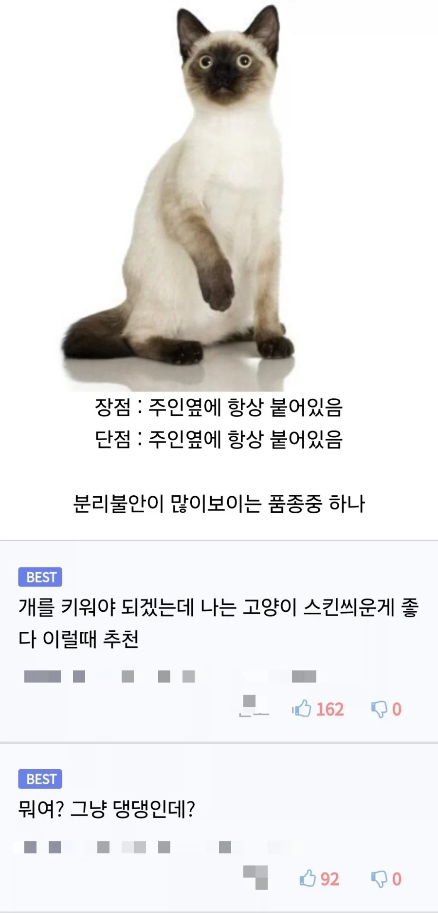 고양이 스킨을 쓴 개를 키우고 싶을때.jpg_1.webp