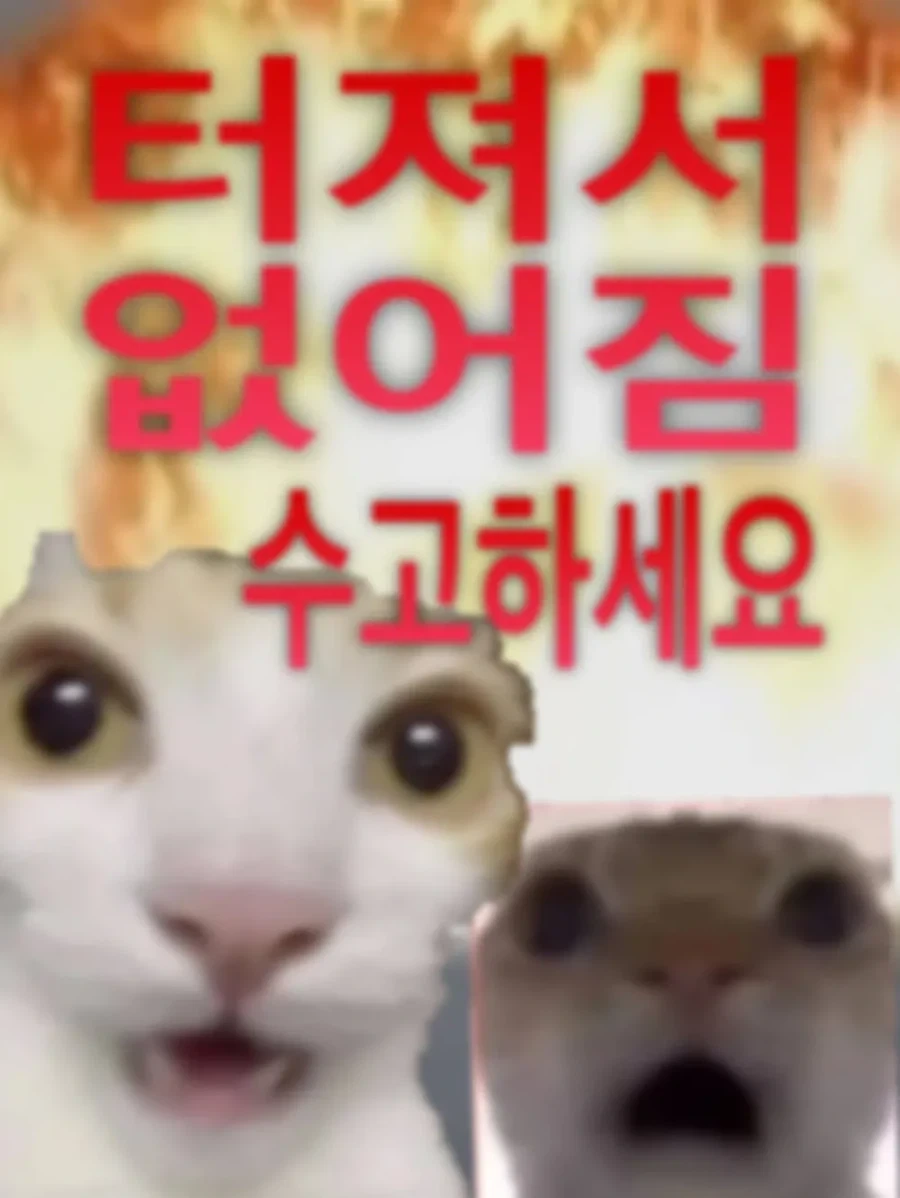 배그) 터질듯한 베트남 펍지팬들의 분노 ㄷㄷ;;;;_2.webp