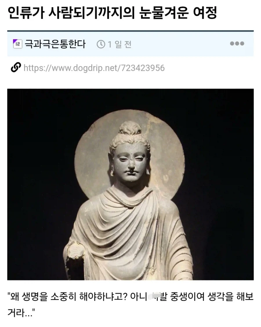 인류가 사람되기까지의 눈물겨운 여정._1.webp