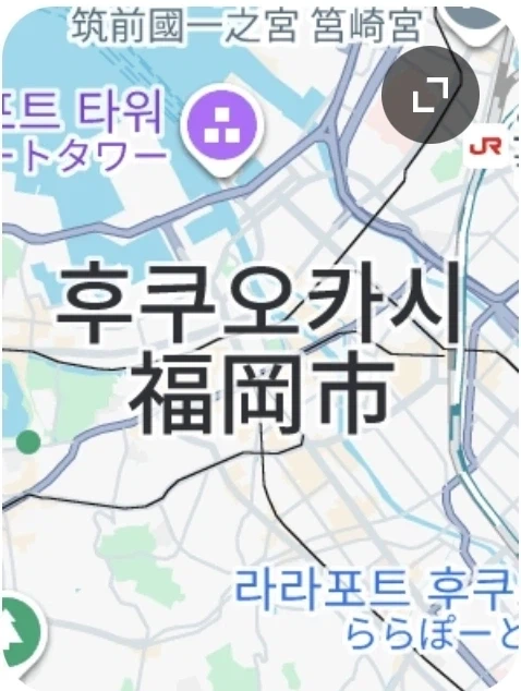 ???: 부산에 모츠나베하는 식당이 있었나..._3.webp