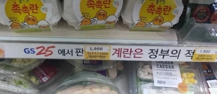 정부가 적들을 처리하는 방법_1.webp