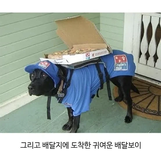 요청사항을 정확히 들어준 피자집.jpg_2.webp