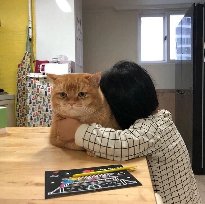 푹신한 고양이 모양 쿠션.jpg_2.webp
