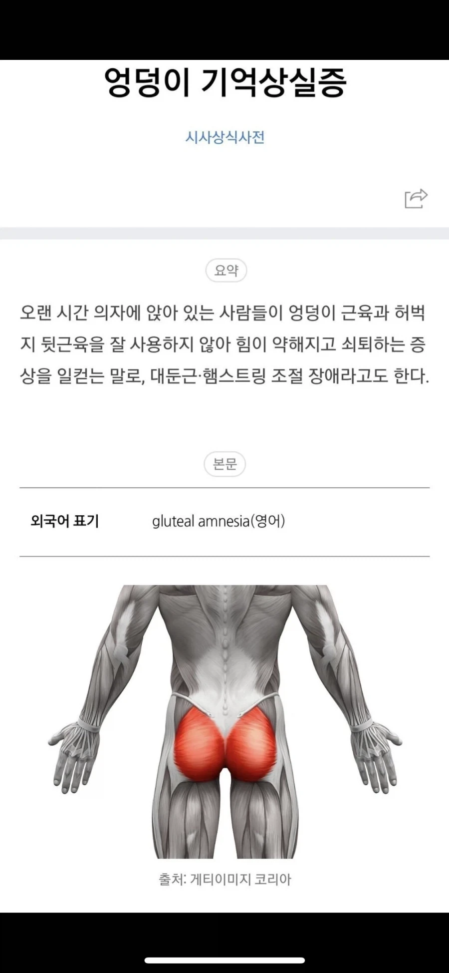 유튜버가 쉬게 된 이유 jpg_2.webp