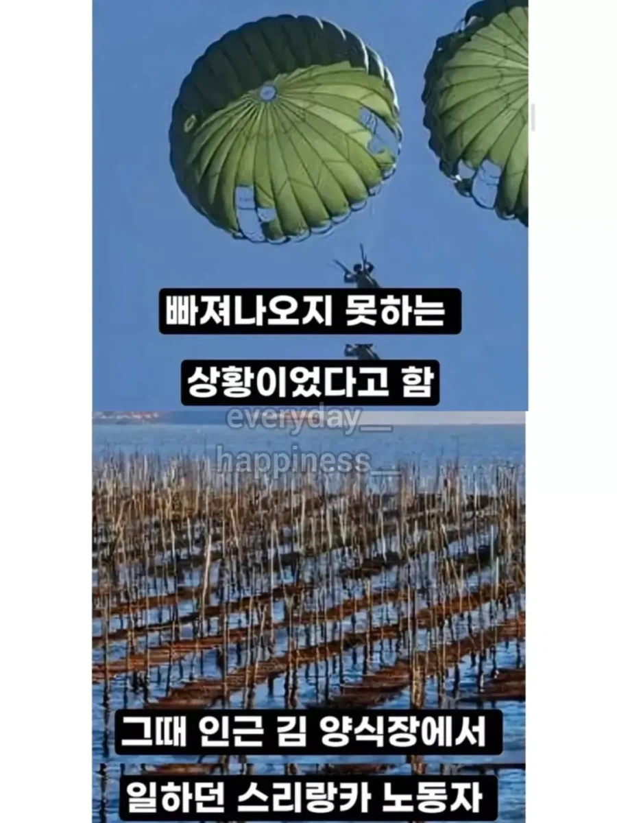 추락한 전투기 조종사를 구출..._5.webp