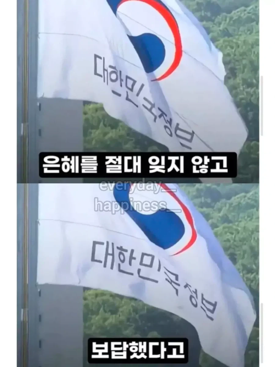 추락한 전투기 조종사를 구출..._11.webp