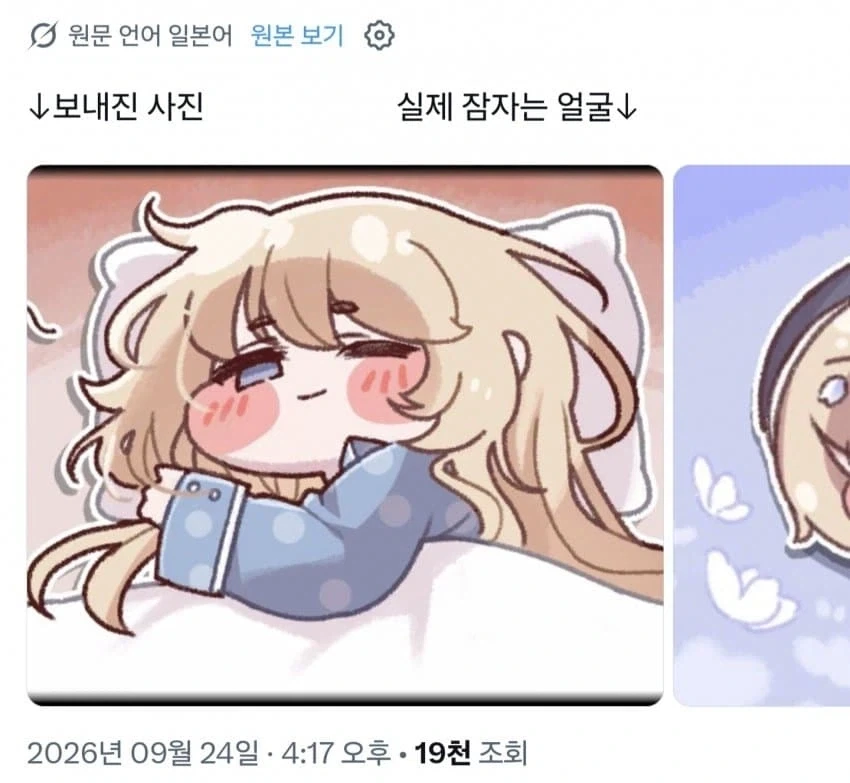 DM으로 보낸 잠자는 사진 vs 실제 잠자는 사진_1.webp