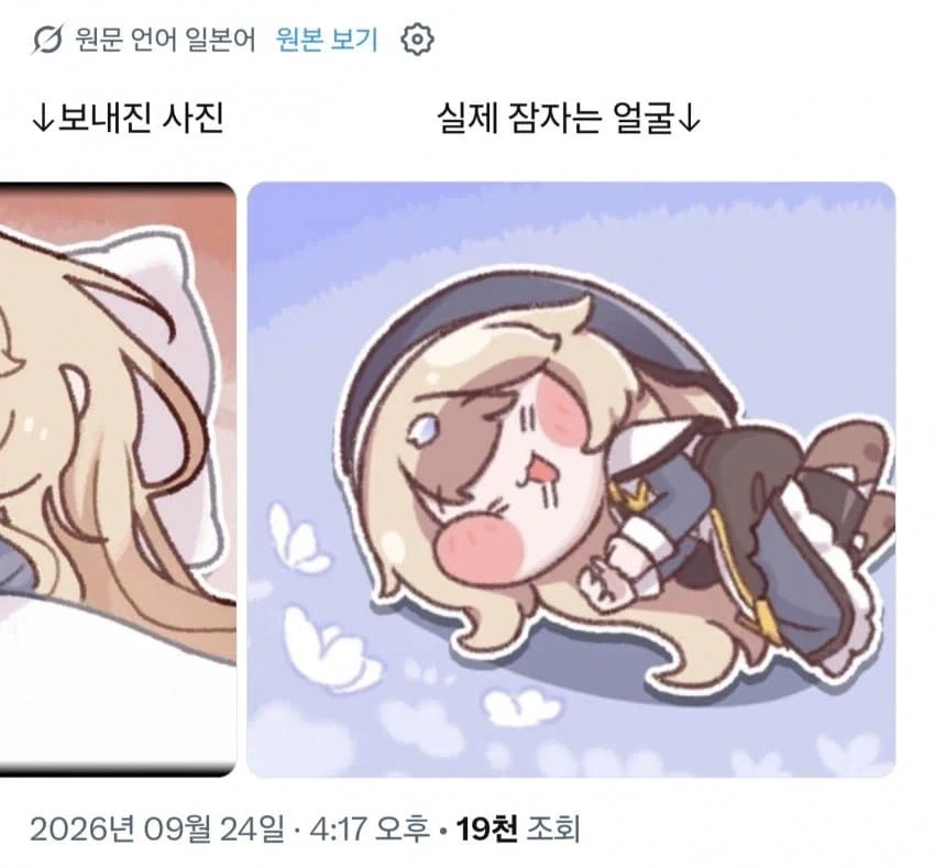 DM으로 보낸 잠자는 사진 vs 실제 잠자는 사진_2.webp