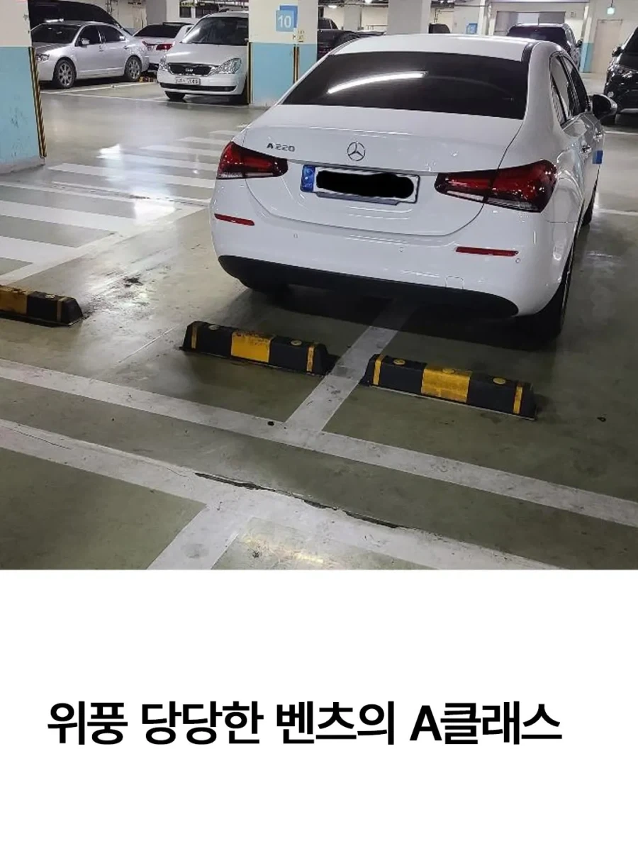기세만큼은 마이바흐 뺨때리는 벤츠 A클라스.jpg_3.webp