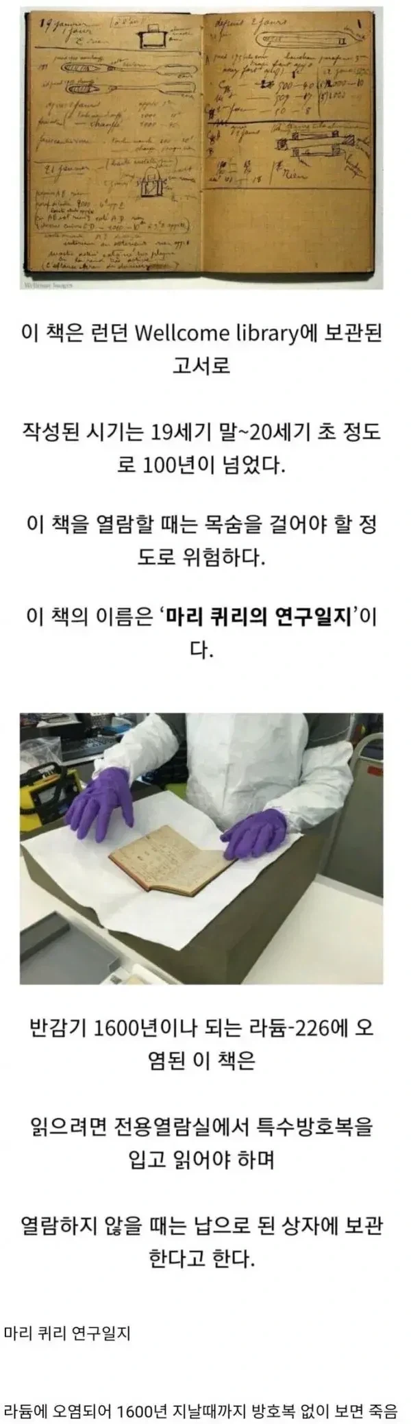 만지기만 해도 고통스러운 질병으로 죽는 마도서.webp_1.webp