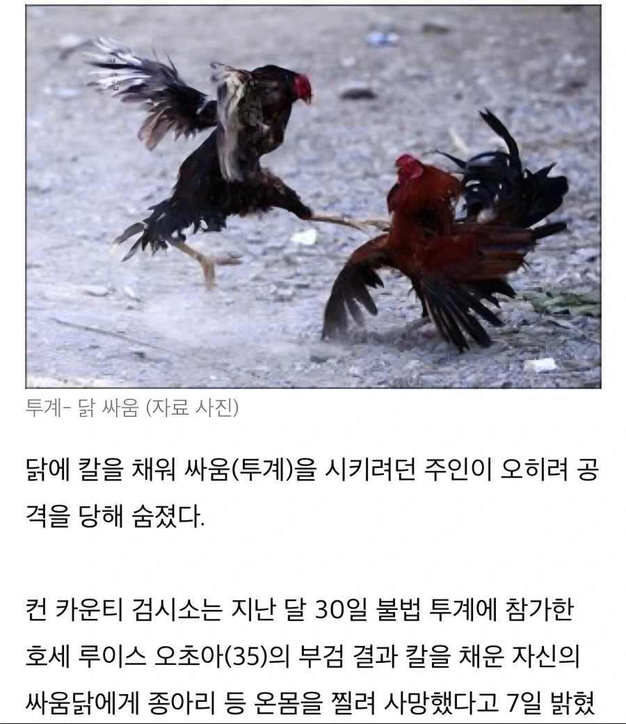 공룡이 무기를 사용하기 시작하면_3.webp