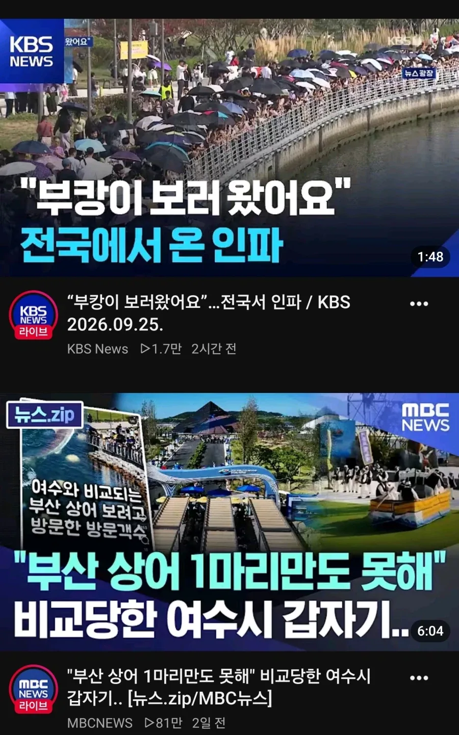 유튜브 알고리즘_1.webp