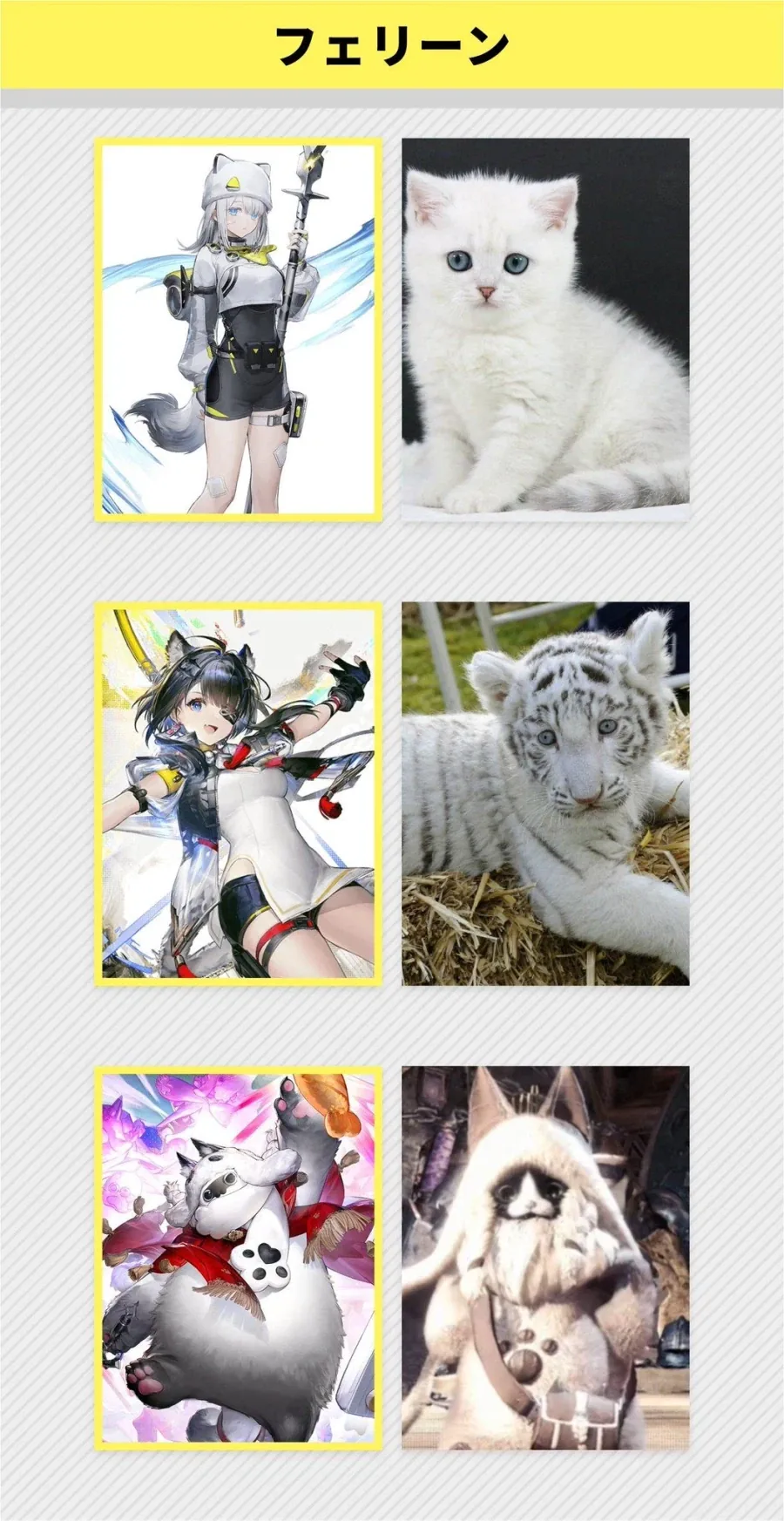 엔드필드) 고양이_1.webp