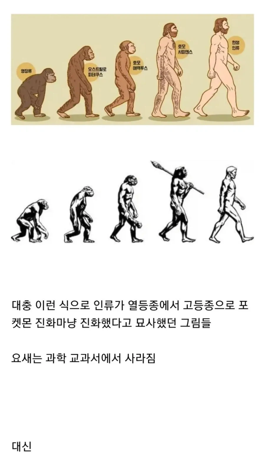 교과서에서 삭제된 그림_1.webp
