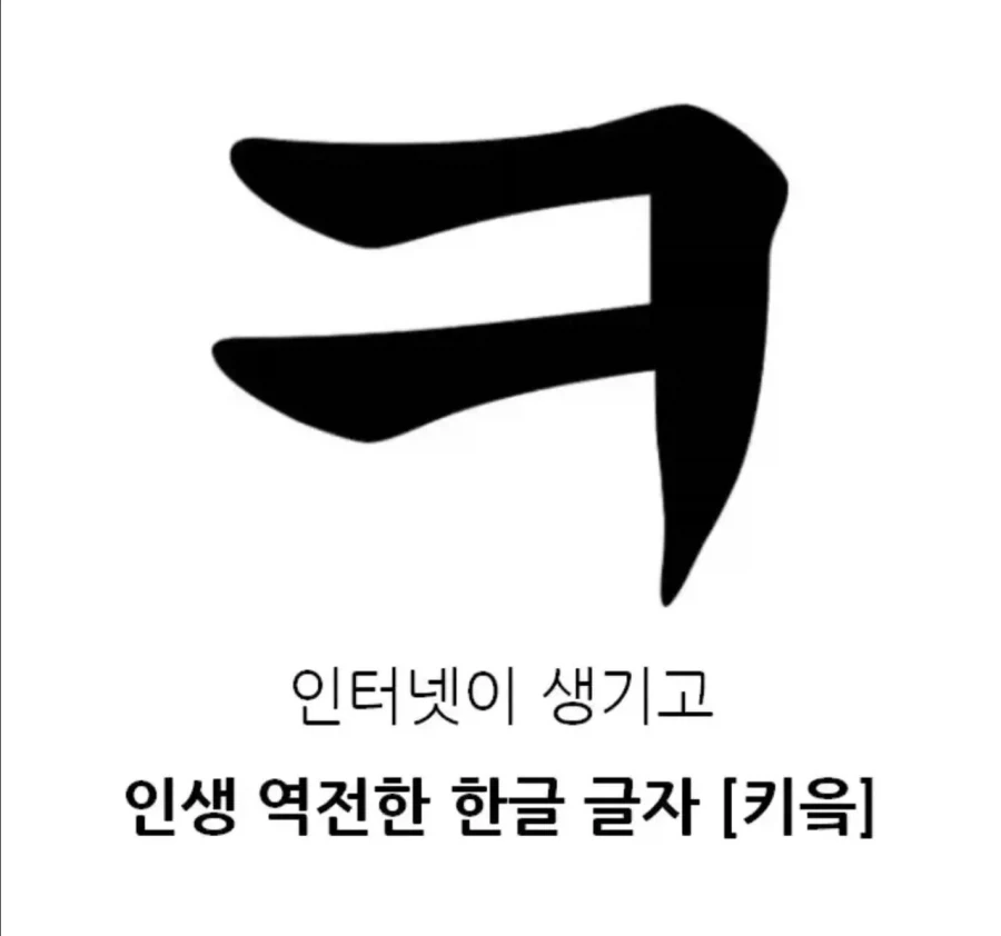 인터넷이 생기고 인생 역전한 한글 글자_1.webp